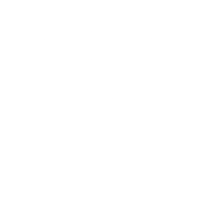 Gemeente Vlaardingen